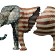 Photo Illustration Flag Adorned Elephant Split